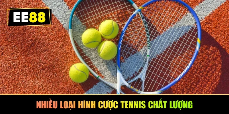 Nhiều loại hình cược Tennis chất lượng